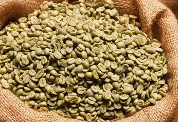 GREEN COFFEE BEAN