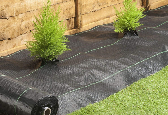 Ground Cover Fabric