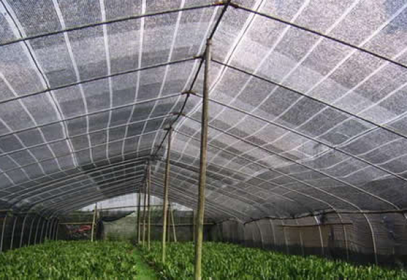 Greenhouse netting