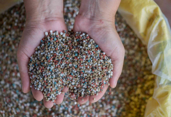 NPK Fertilizer