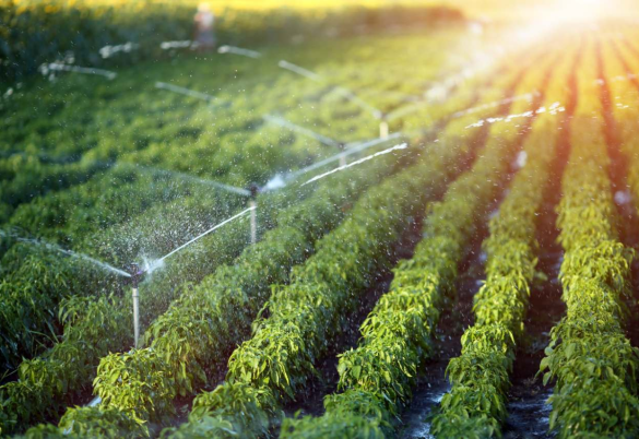 Irrigation Systems