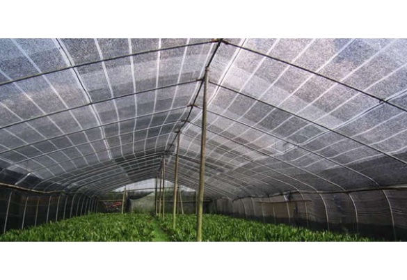 Greenhouse netting