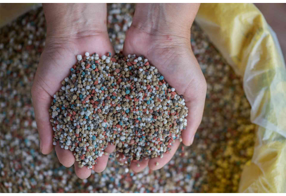 NPK Fertilizer