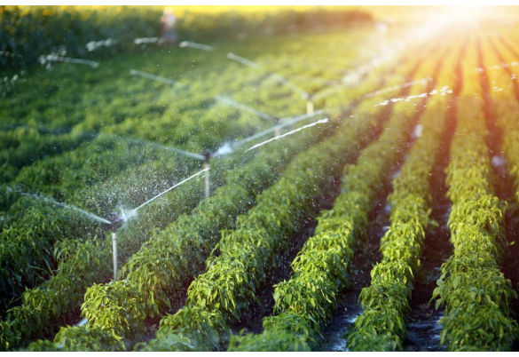 Irrigation Systems