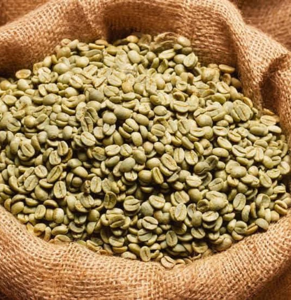 GREEN COFFEE BEAN