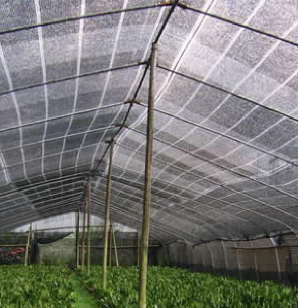 Greenhouse netting
