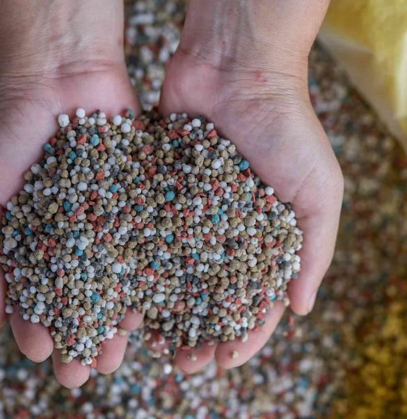 NPK Fertilizer