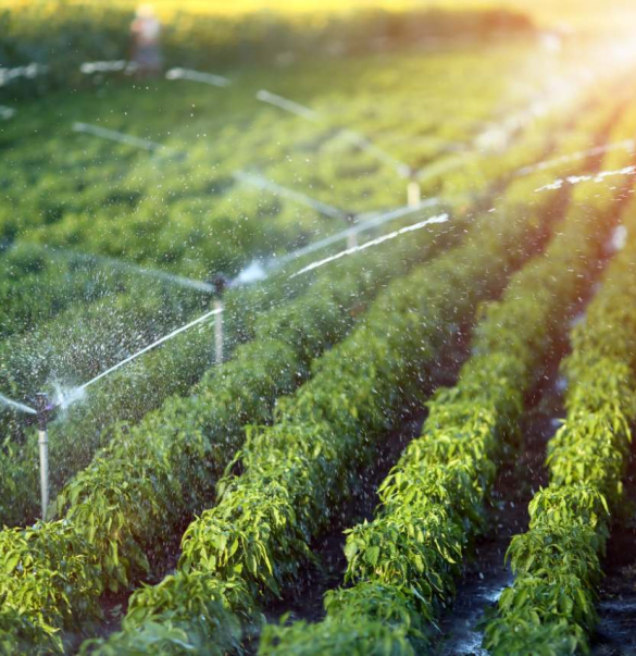 Irrigation Systems