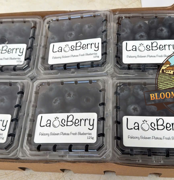 Premium Organic Blueberries