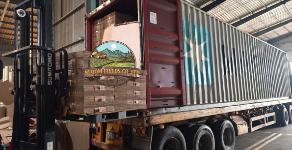 export carton