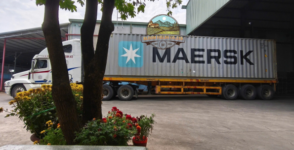 Export