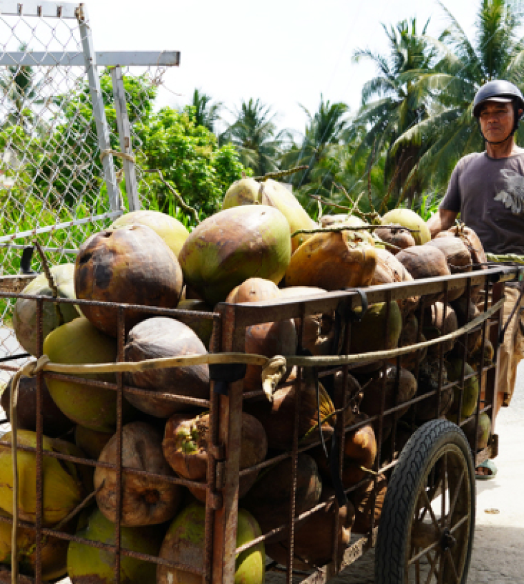 Fruit, vegetable exports to US rise by 39%